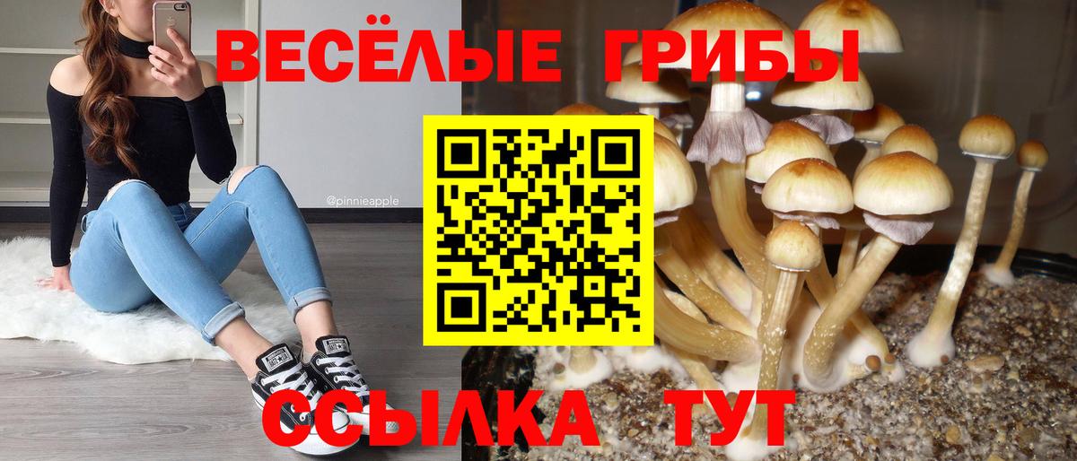 Псилоцибиновые грибы ЛСД Гурьевск
