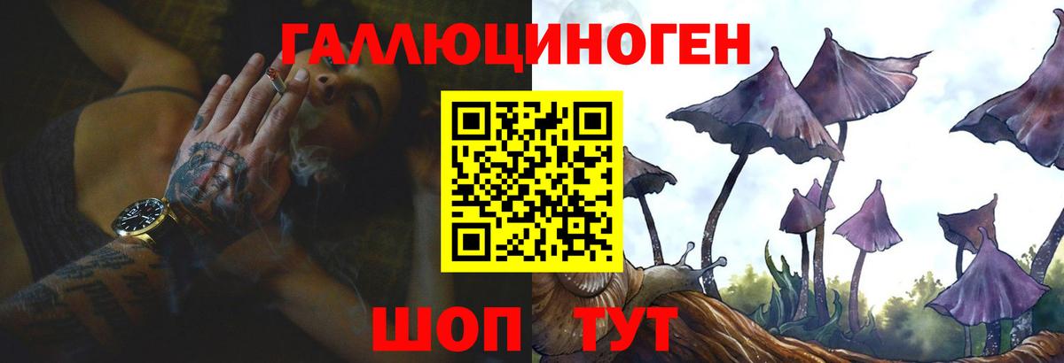 Галлюциногенные грибы прущие грибы  Вход с VPN  Гурьевск 